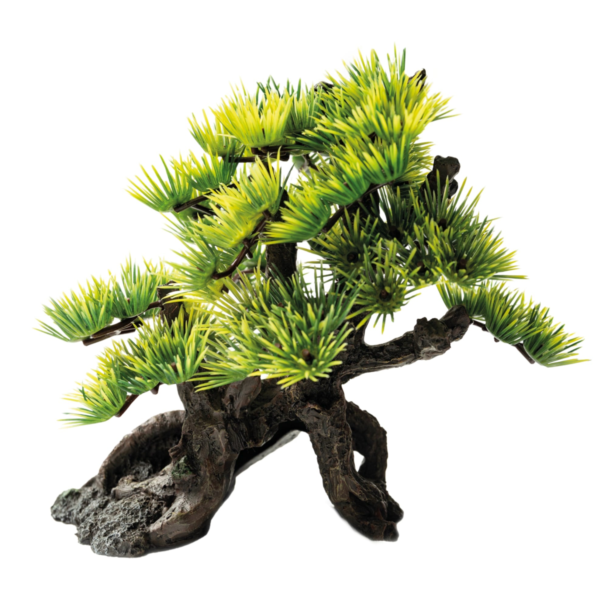Deco Bonsai S