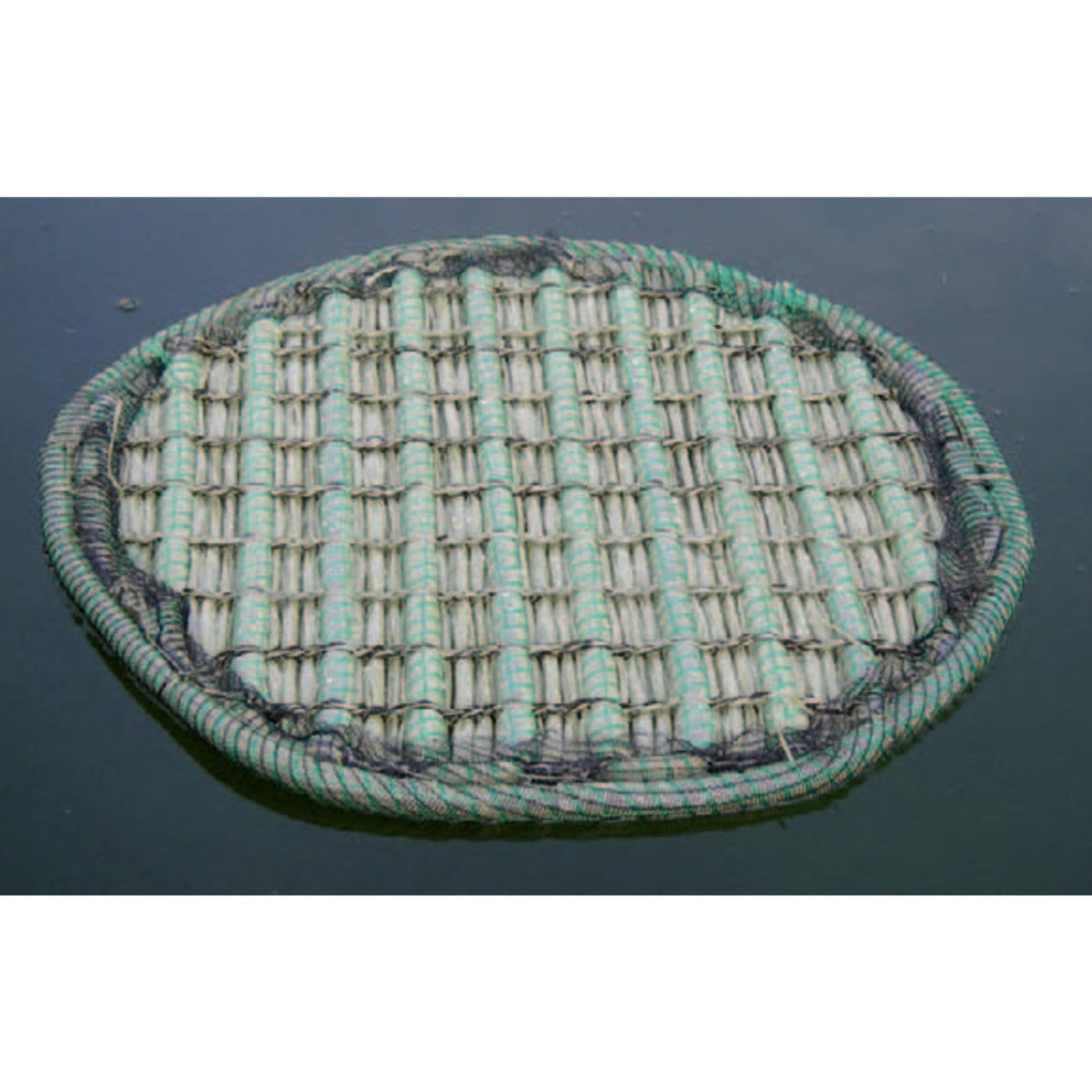 Drijvend planteneiland rond type 61