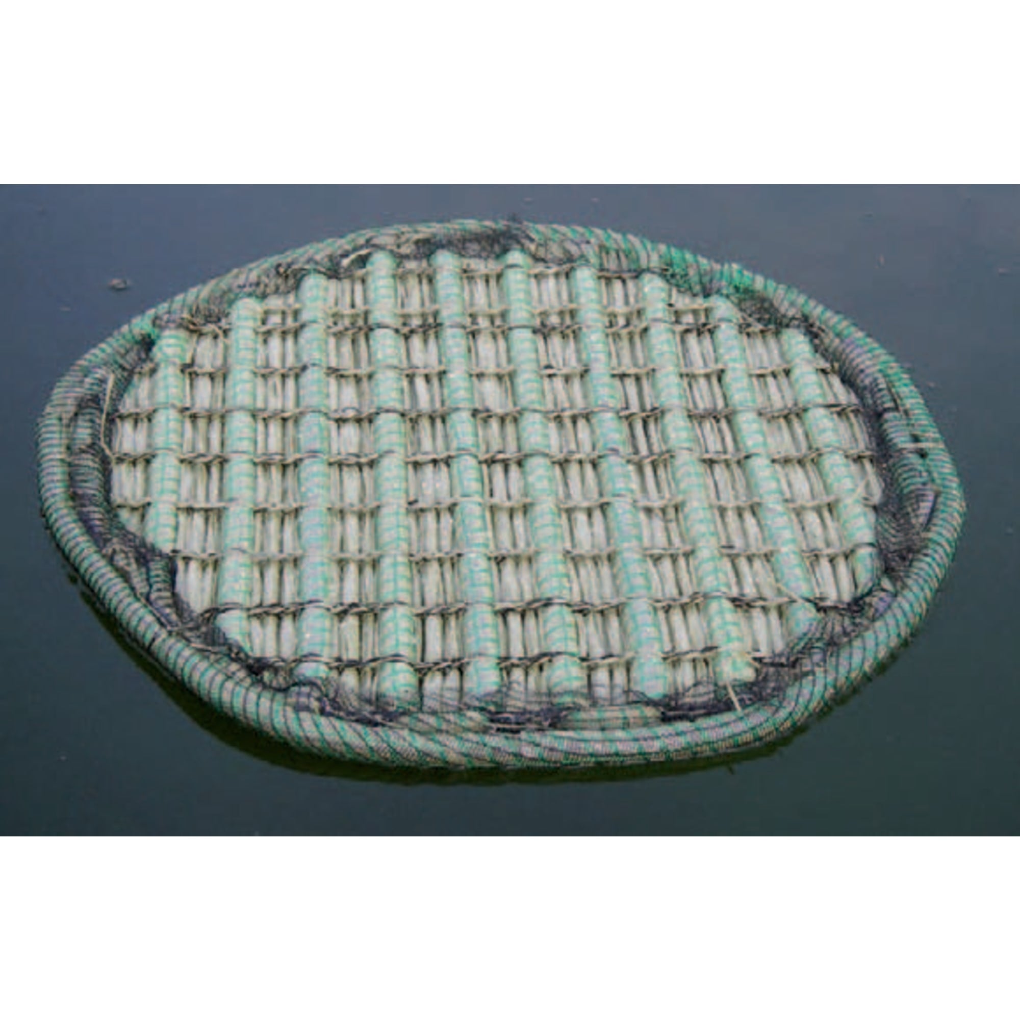 Drijvend planteneiland rond type 81cm