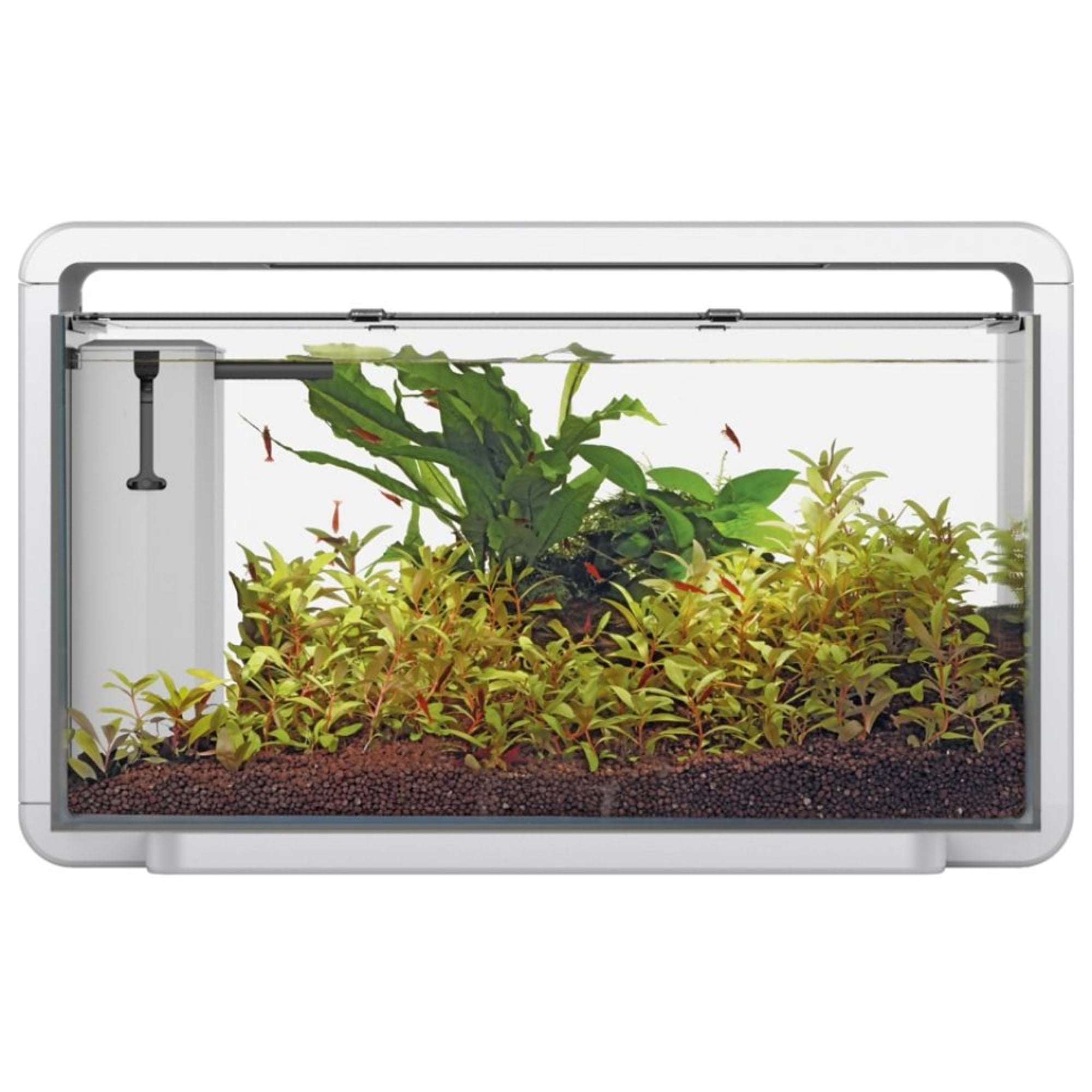 Home 30 Aquarium Wit