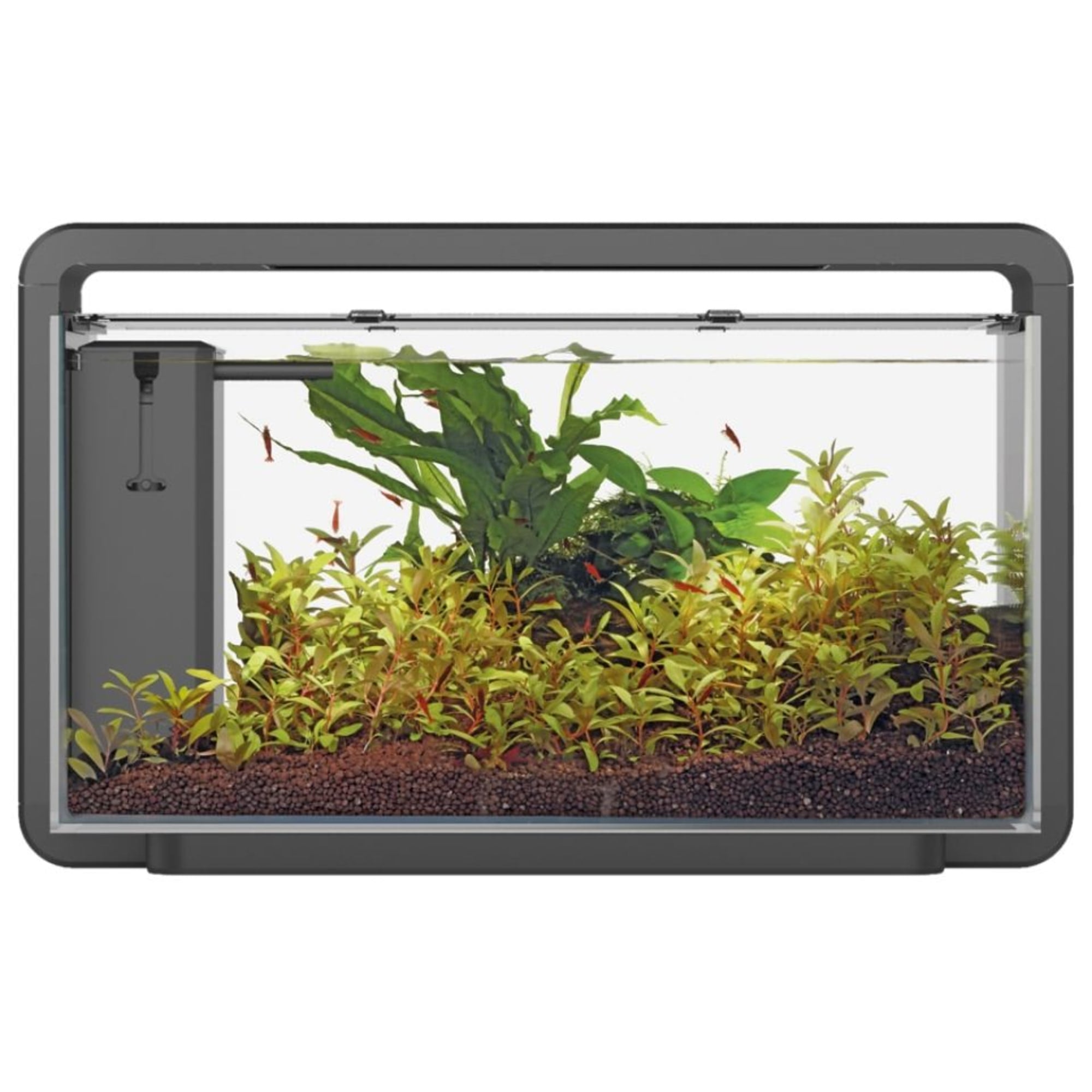 Home 30 Aquarium Zwart