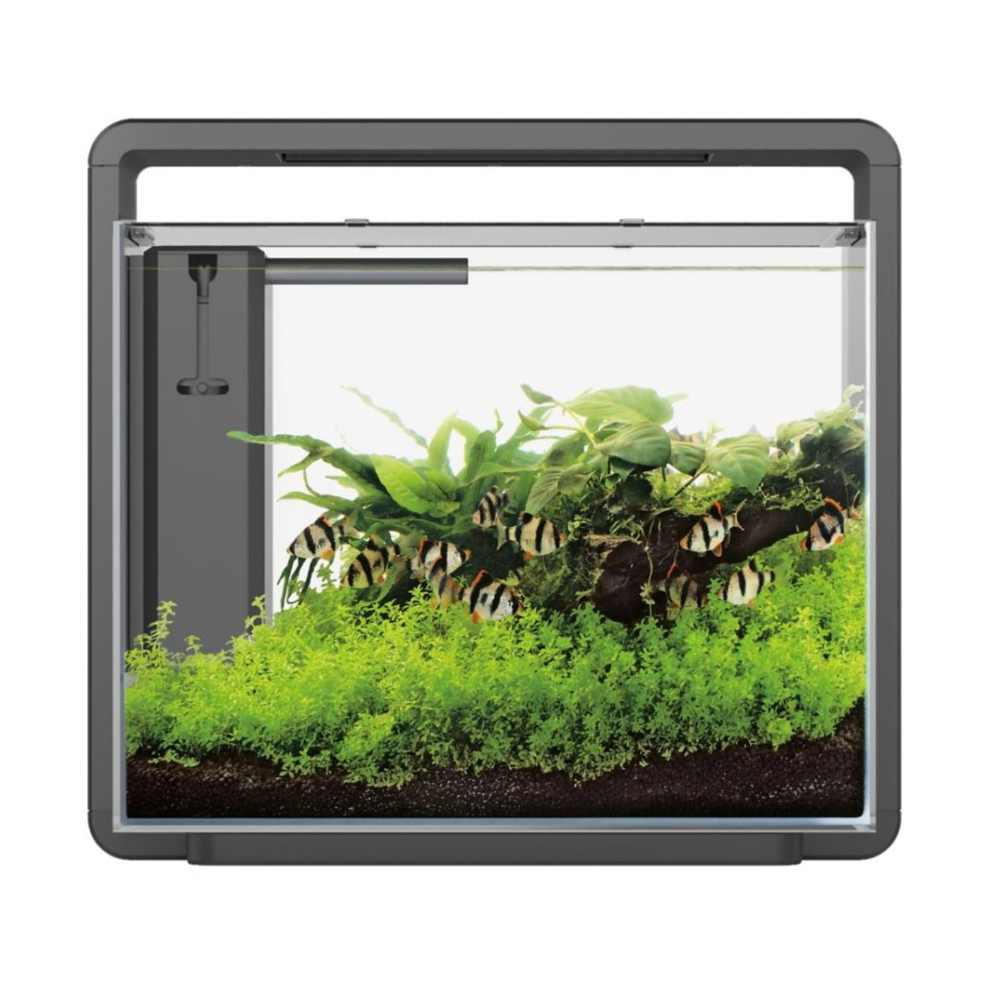 Home 45 Aquarium Zwart