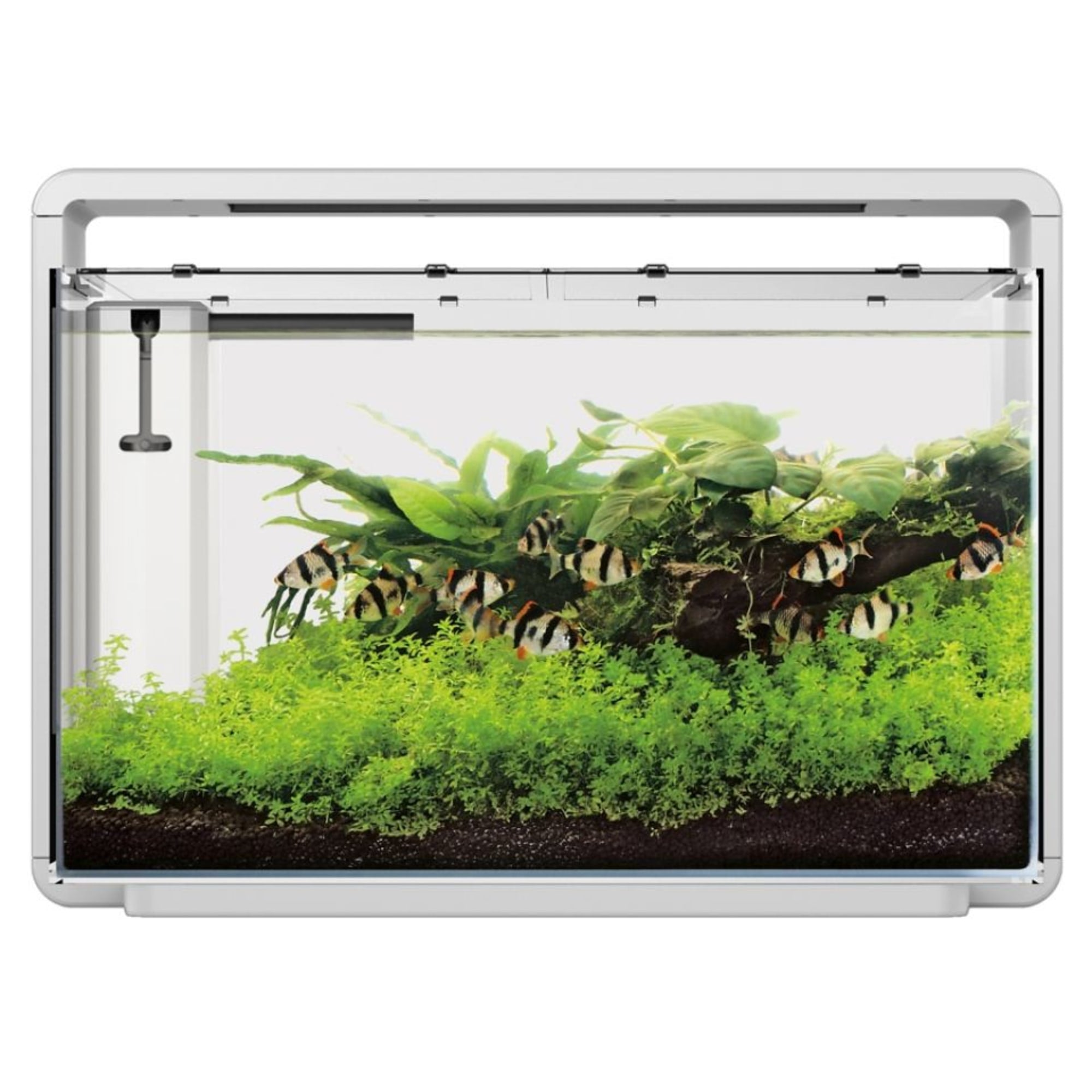Home 65 Aquarium Wit