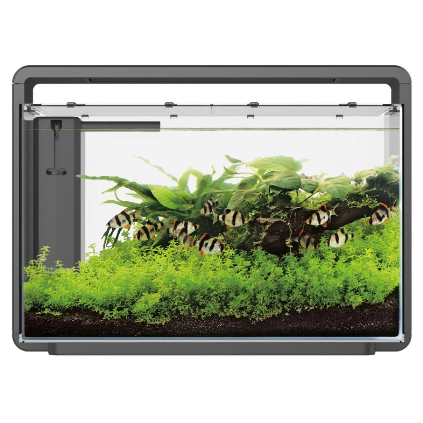 Home 65 Aquarium Zwart