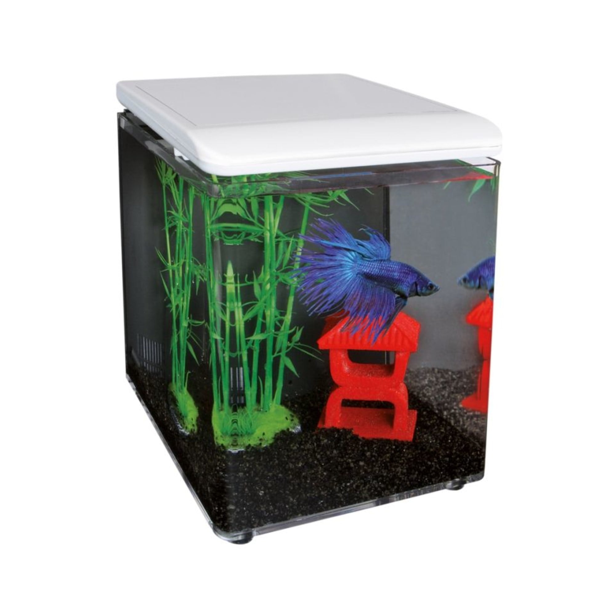 Home 8 Aquarium Wit