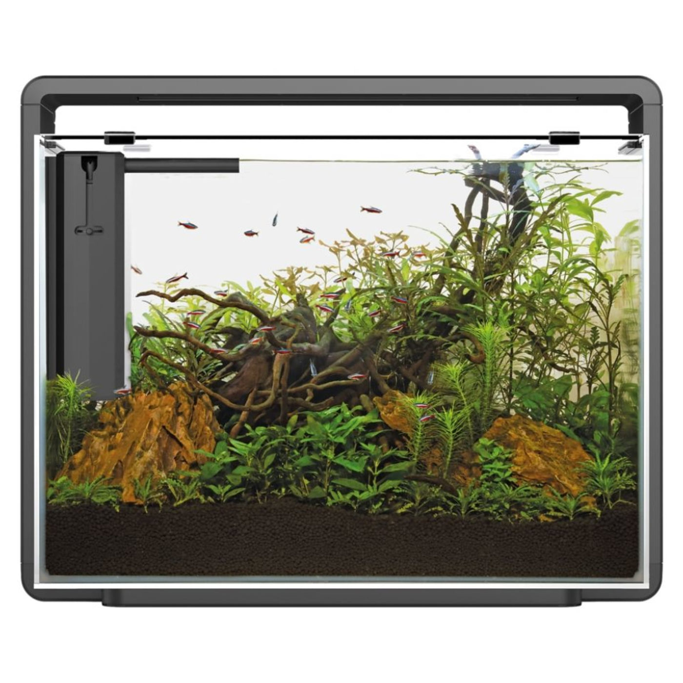 Home 85 Aquarium Zwart