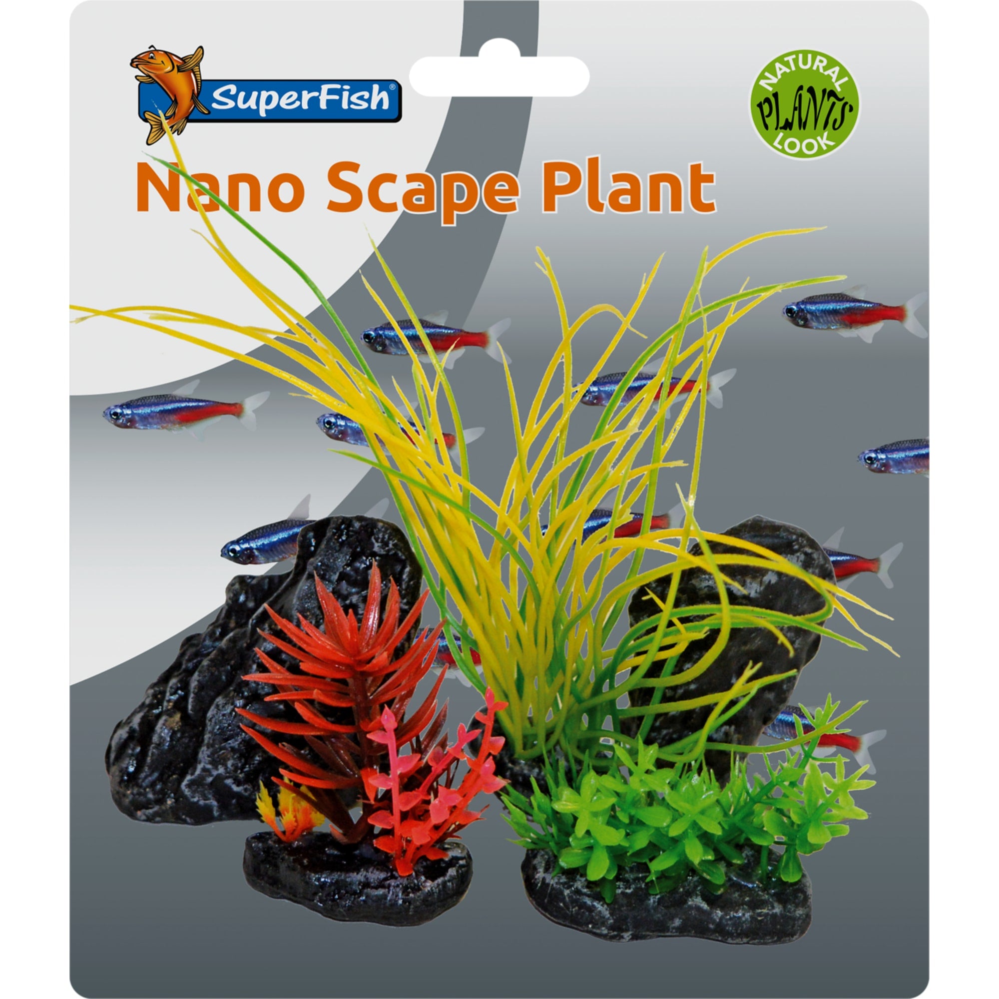 Nano Scape Plant