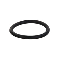 O-ring voor kwartsglas drukfilter PF-40 / Meerkamerfilter 18.000-25.000 / UV-C PL, miniatuur 1