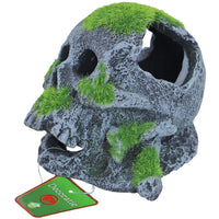 Ornament Schedel+Mos 12x13cm, miniatuur 1
