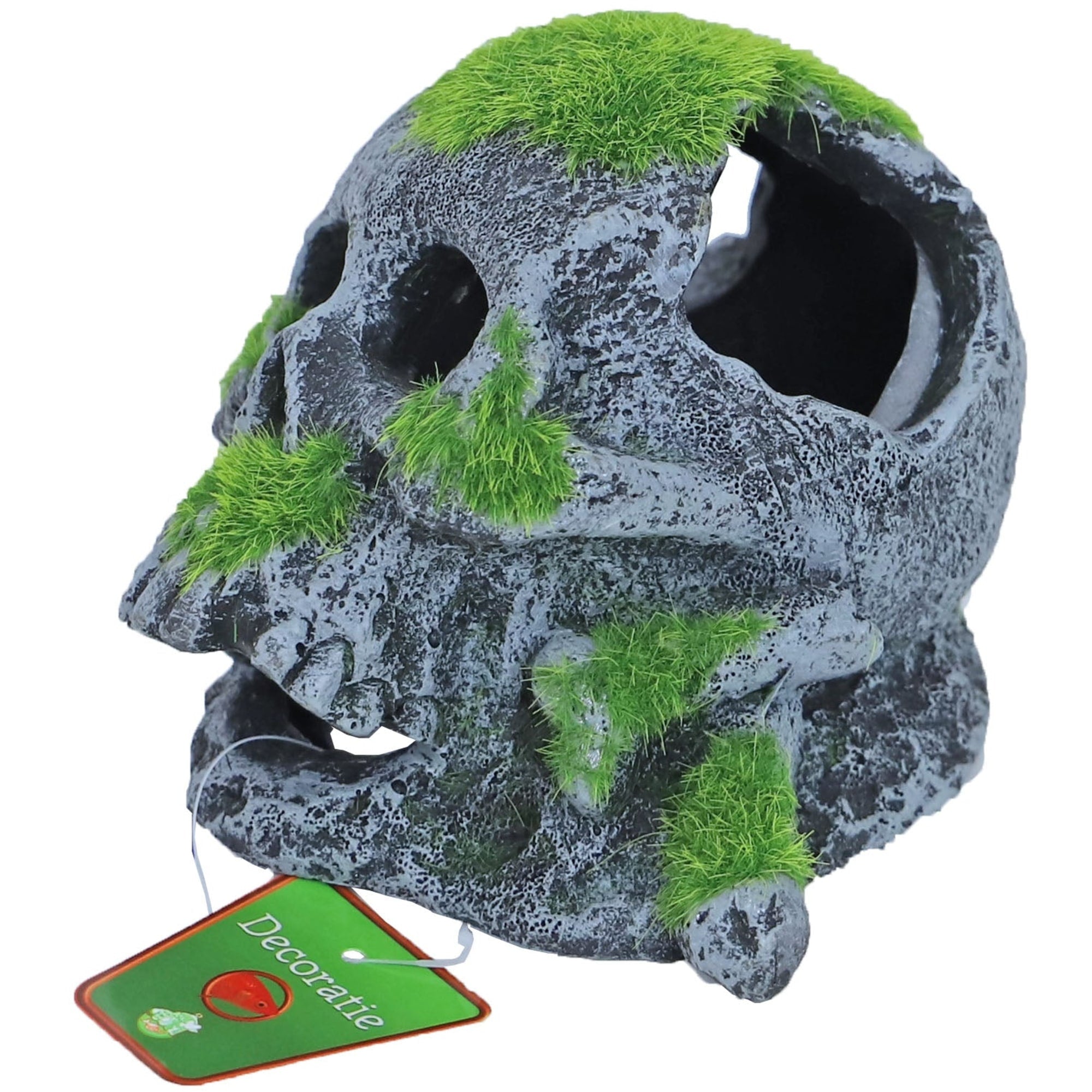 Ornament Schedel+Mos 12x13cm