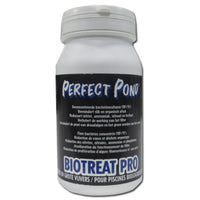 Perfect Pond Biotreat Pro 500 gr - productfoto, miniatuur 1
