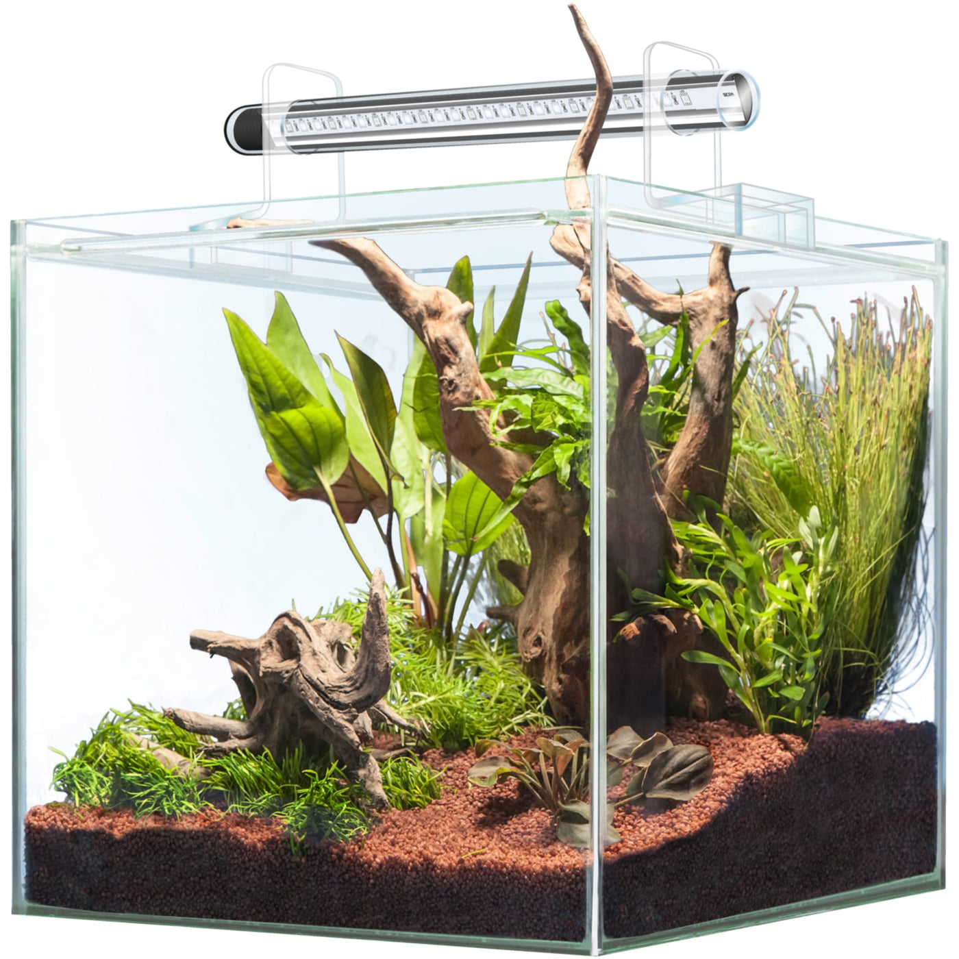 Scaper Cube 64 L