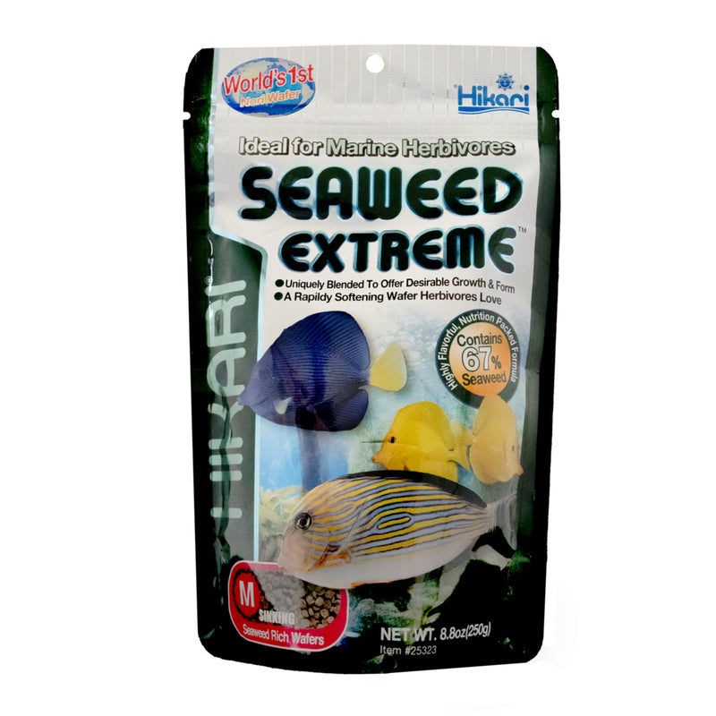 Seaweed M Wafer 250 Gram, Visvoer bij Vijvercentrum