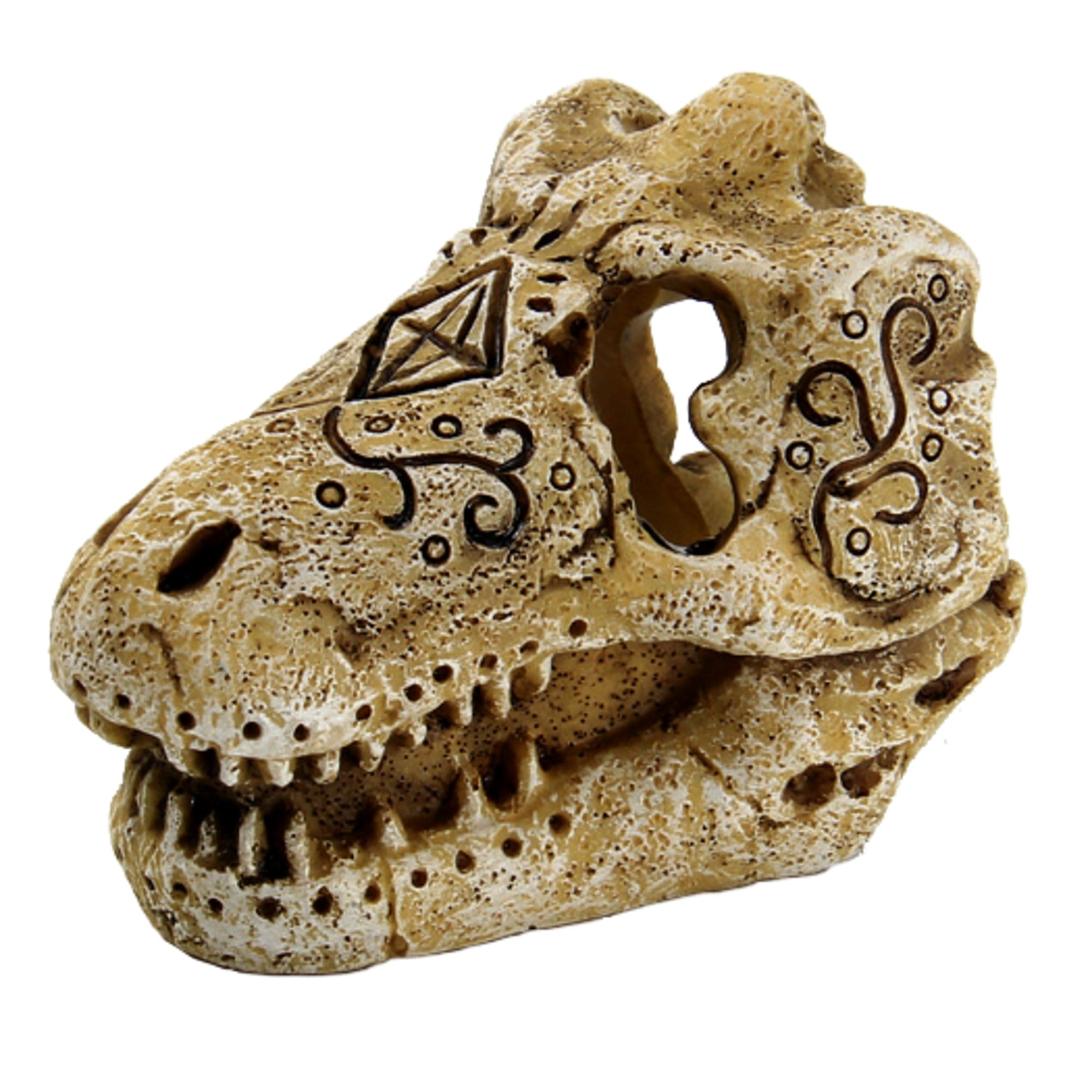 Skull T Rex S
