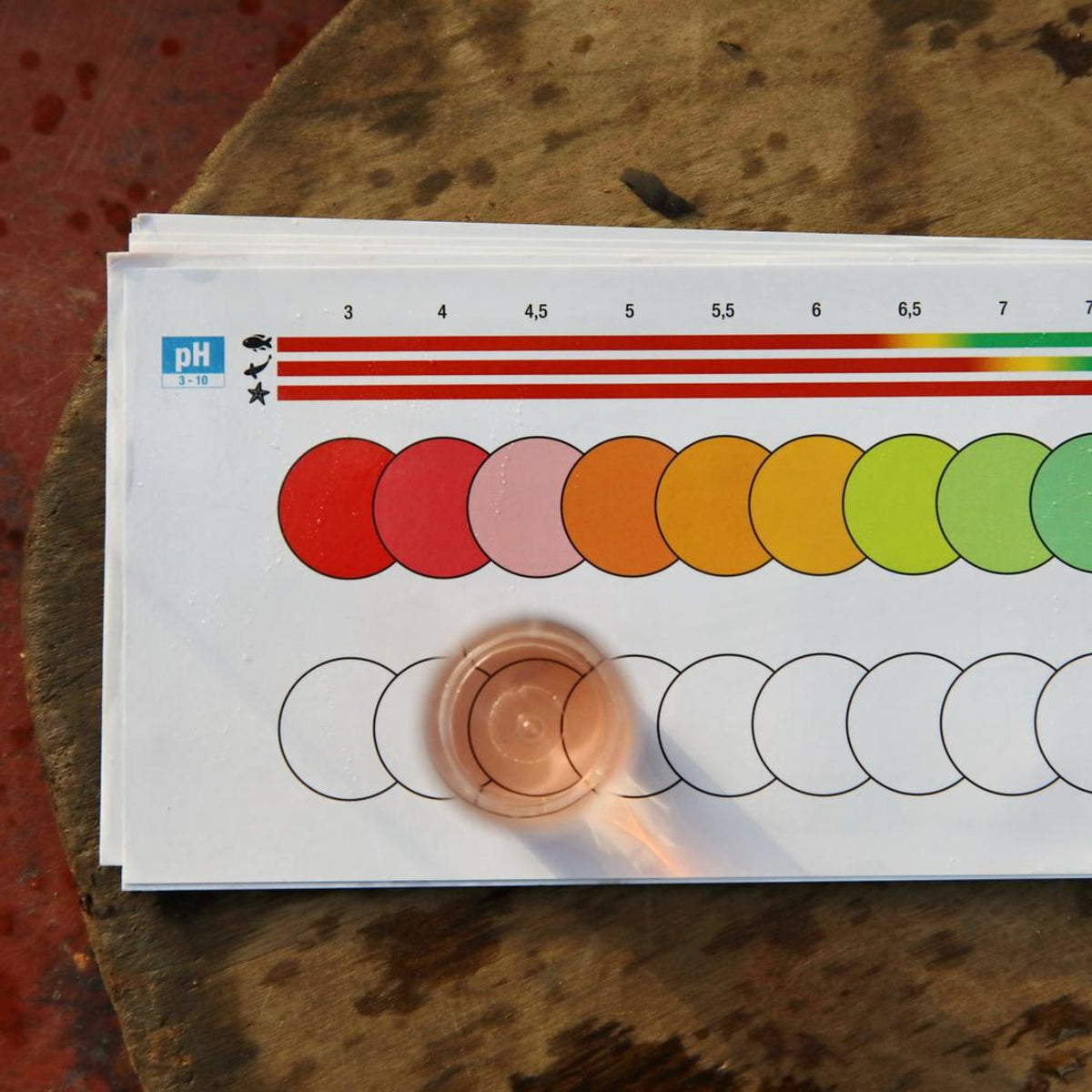 JBL ProAquaTest pH 3.0-10.0 - Druppeltest voor aquarium en vijver - afbeelding 14