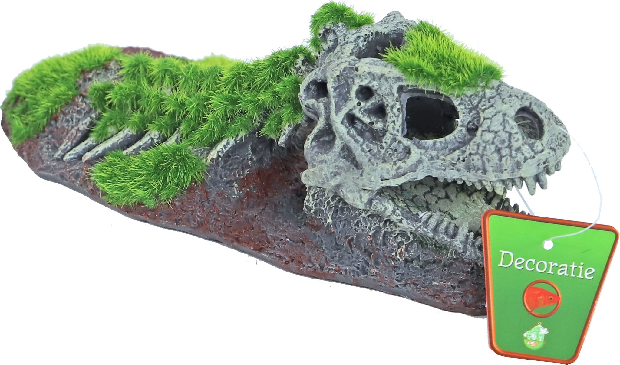 Boon Ornament Dinosaurus Skelet 21x9cm - Aquariumdecoratie polyresin