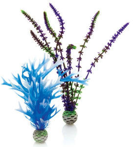 biOrb plantenset medium blauw en paars - 2 kunstplanten met keramische voet, afbeelding 2 Aquarium Decoratie