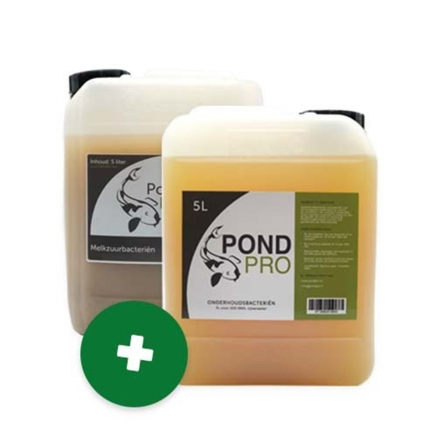 SW6 sync onderhoud-02 #1