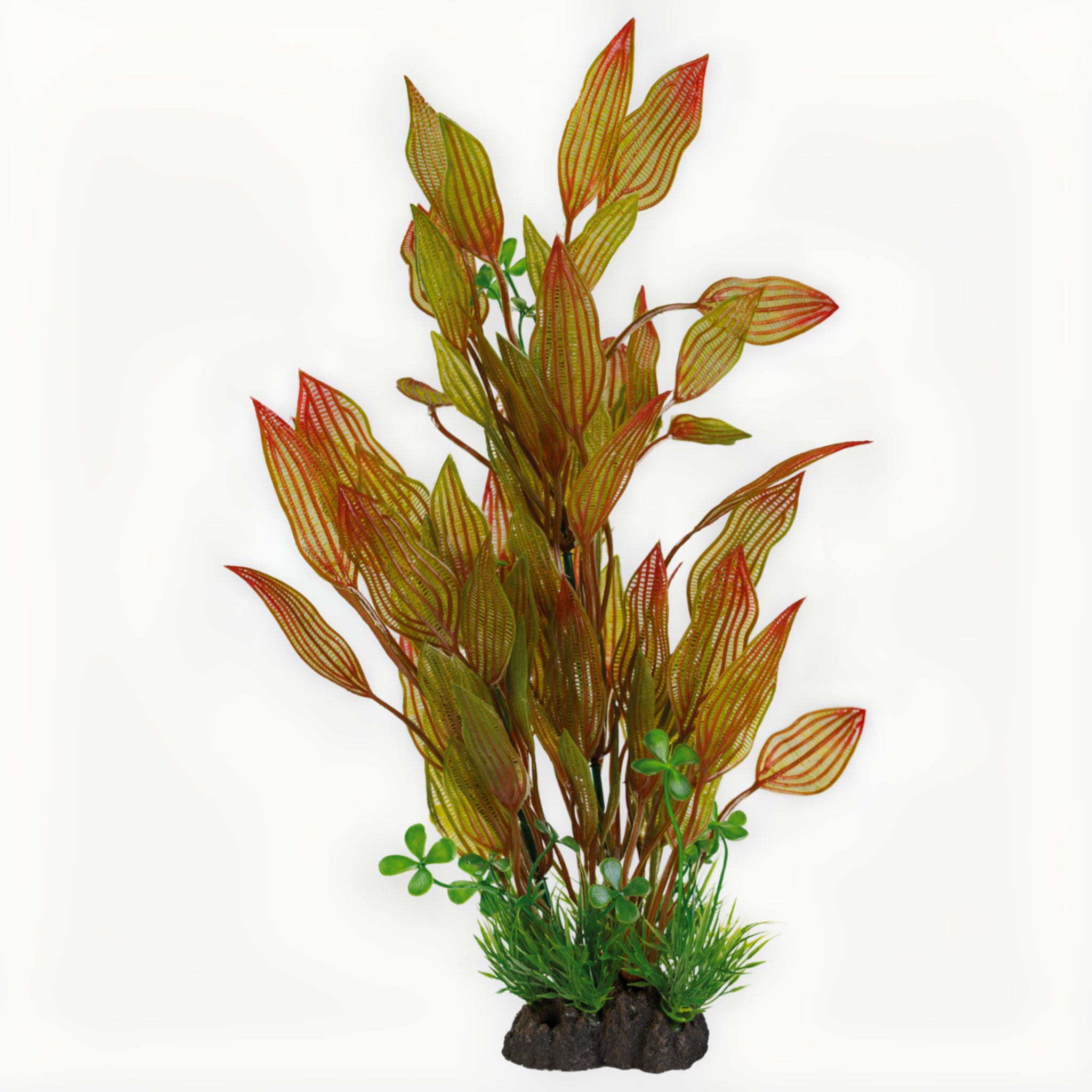 Superfish Art Plant 40cm Henkelianus - productfoto