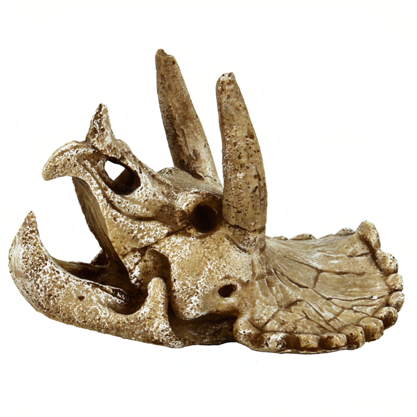 Superfish Skull Triceratops M - productfoto