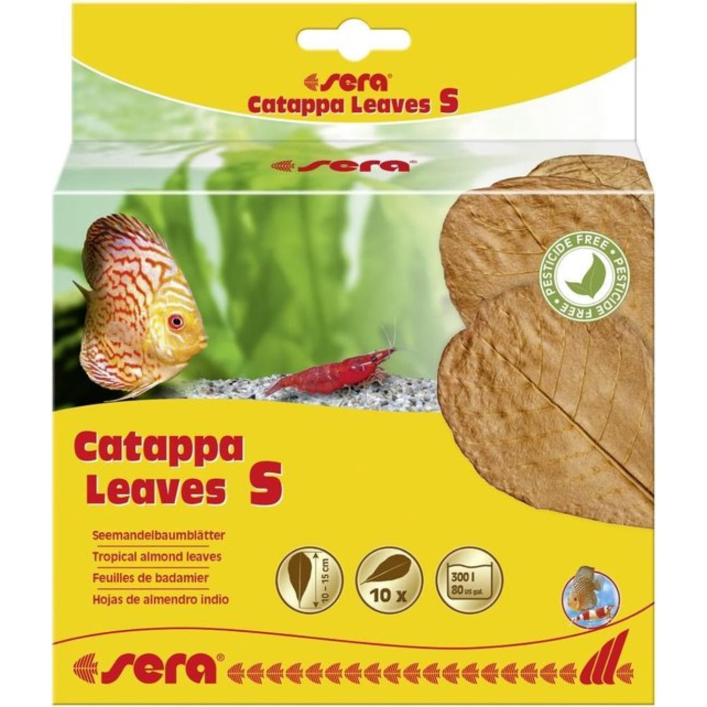Sera Catappa Leaves S 10 – 15 cm 10 st - productfoto