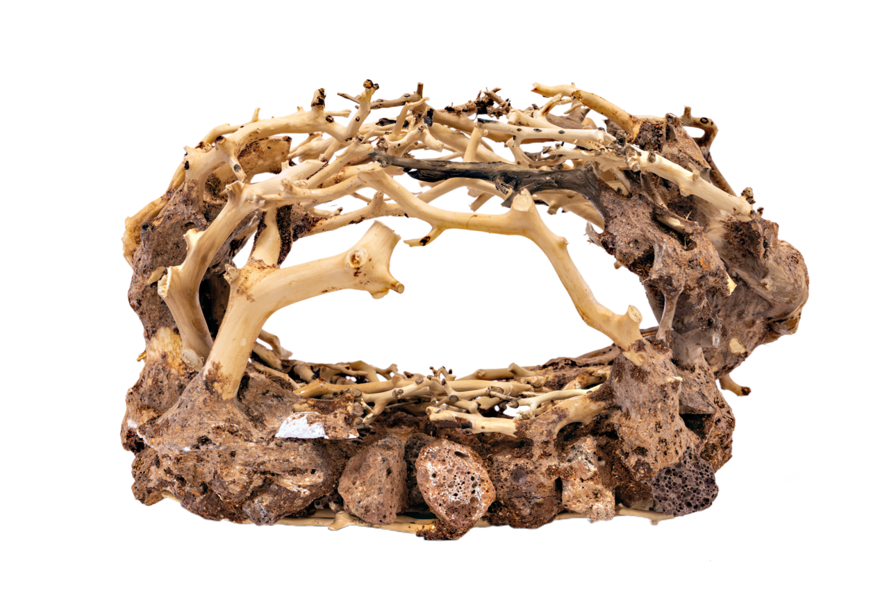 Superfish Bonsai Rock (Maat S)