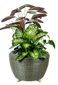 Velda Velda Orbis Planter Olive - Wicker plantenbak 70 liter voor binnen en buiten, miniatuur 6