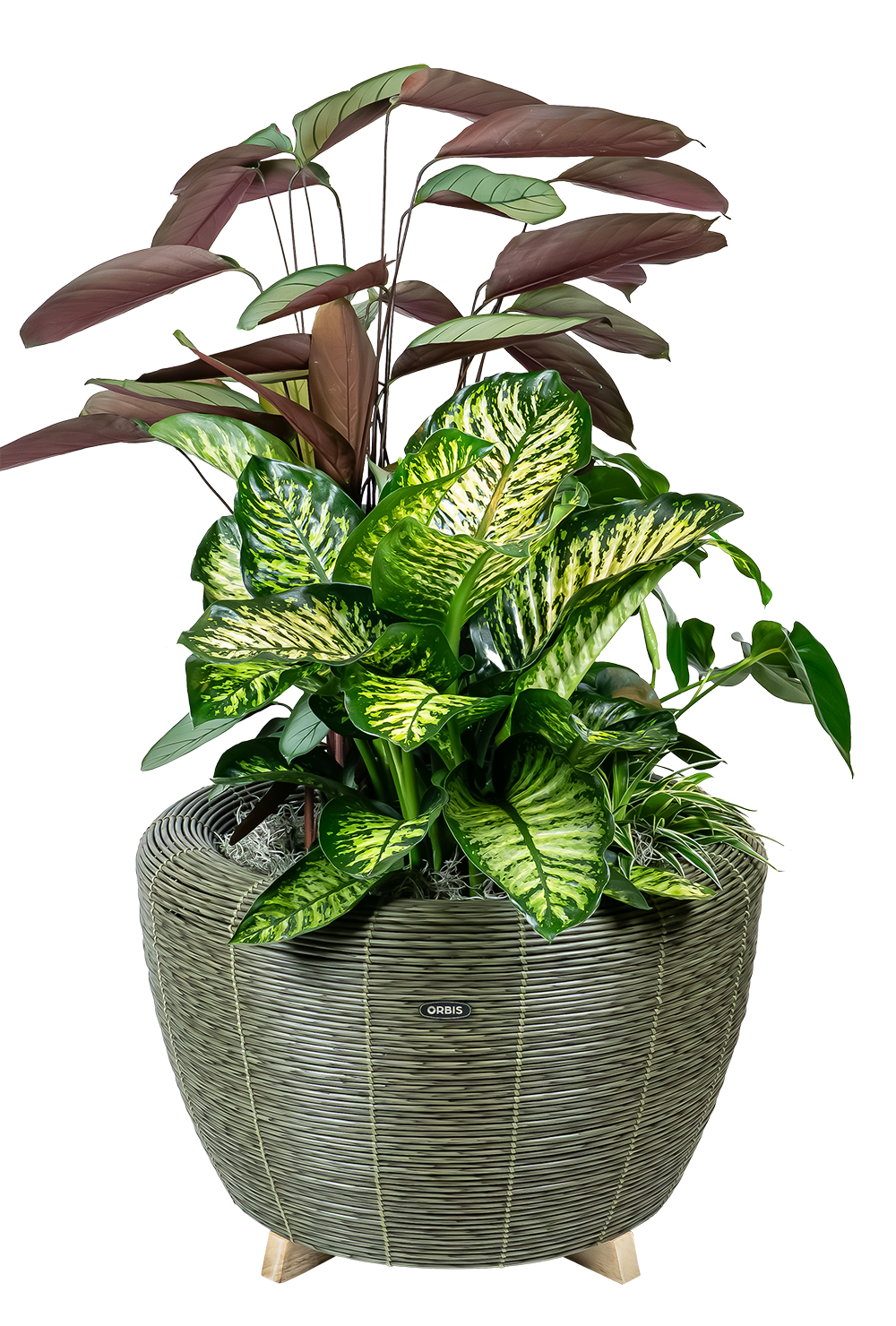 Velda Velda Orbis Planter Olive - Wicker plantenbak 70 liter voor binnen en buiten