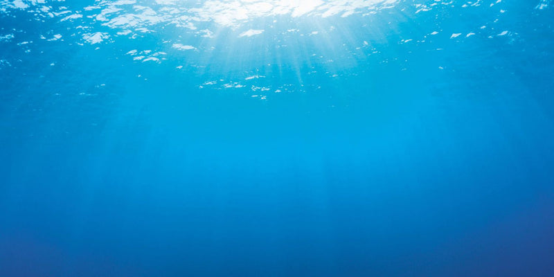 Juwel Achterwand Poster 2 S (60x30cm), afbeelding 4 Aquarium Decoratie