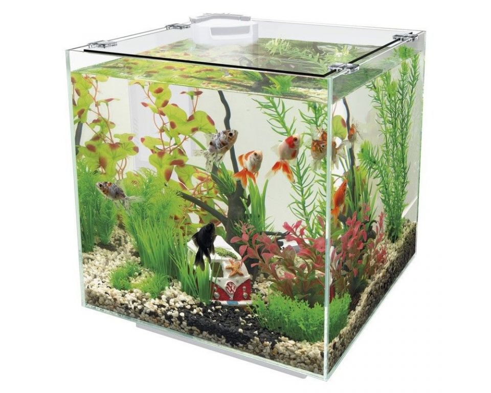 SuperFish QubiQ 30 wit ingericht voorbeeldbeeld