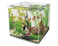 SuperFish QubiQ 30 wit ingericht voorbeeldbeeld, miniatuur 2