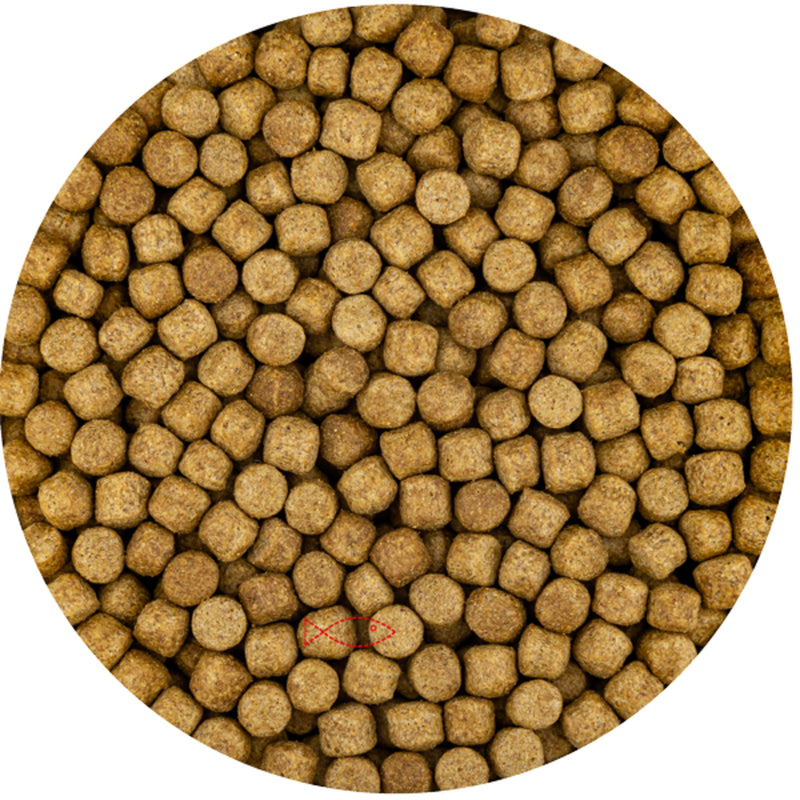 Vivani Wheat Germ 6mm (15 Kilo Zak) - productfoto, Koivoer Seizoen bij Vijvercentrum