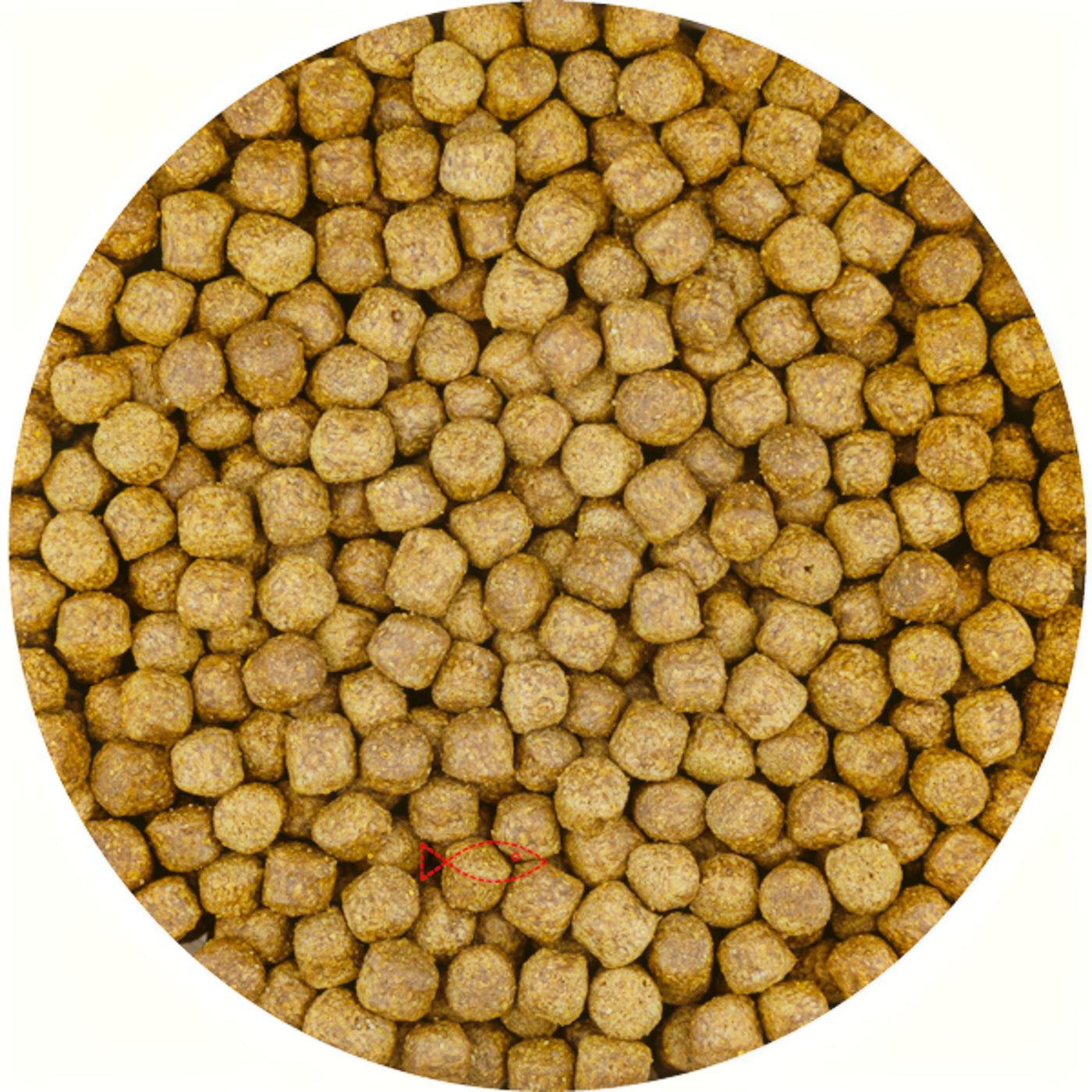 Vivani Top Growth 6mm (6 Kilo Zak) - productfoto