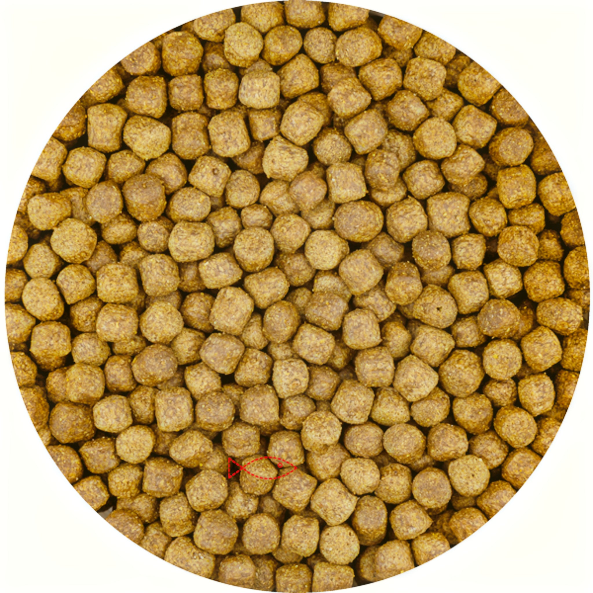 Vivani Top Growth 6mm (6 Kilo Zak) - productfoto
