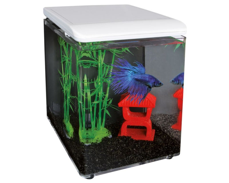 Superfish Home 8 Aquarium Wit - Nano Aquarium met LED, afbeelding 2 Aquarium