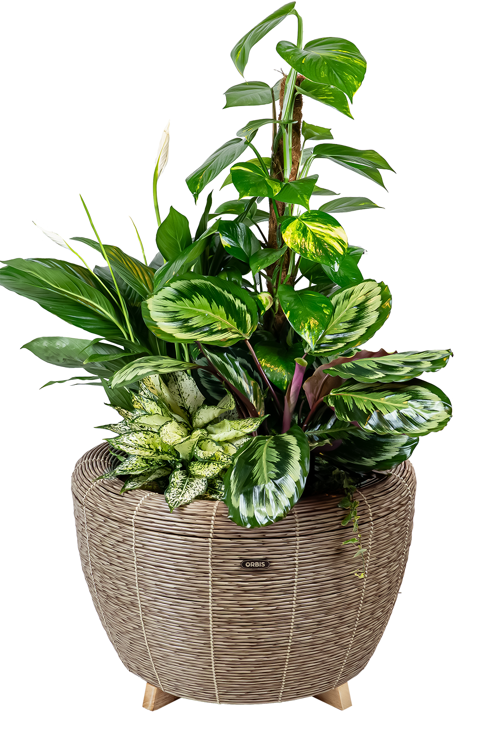 Velda Velda Orbis Planter Sepia - Wicker plantenbak 70 liter voor binnen en buiten