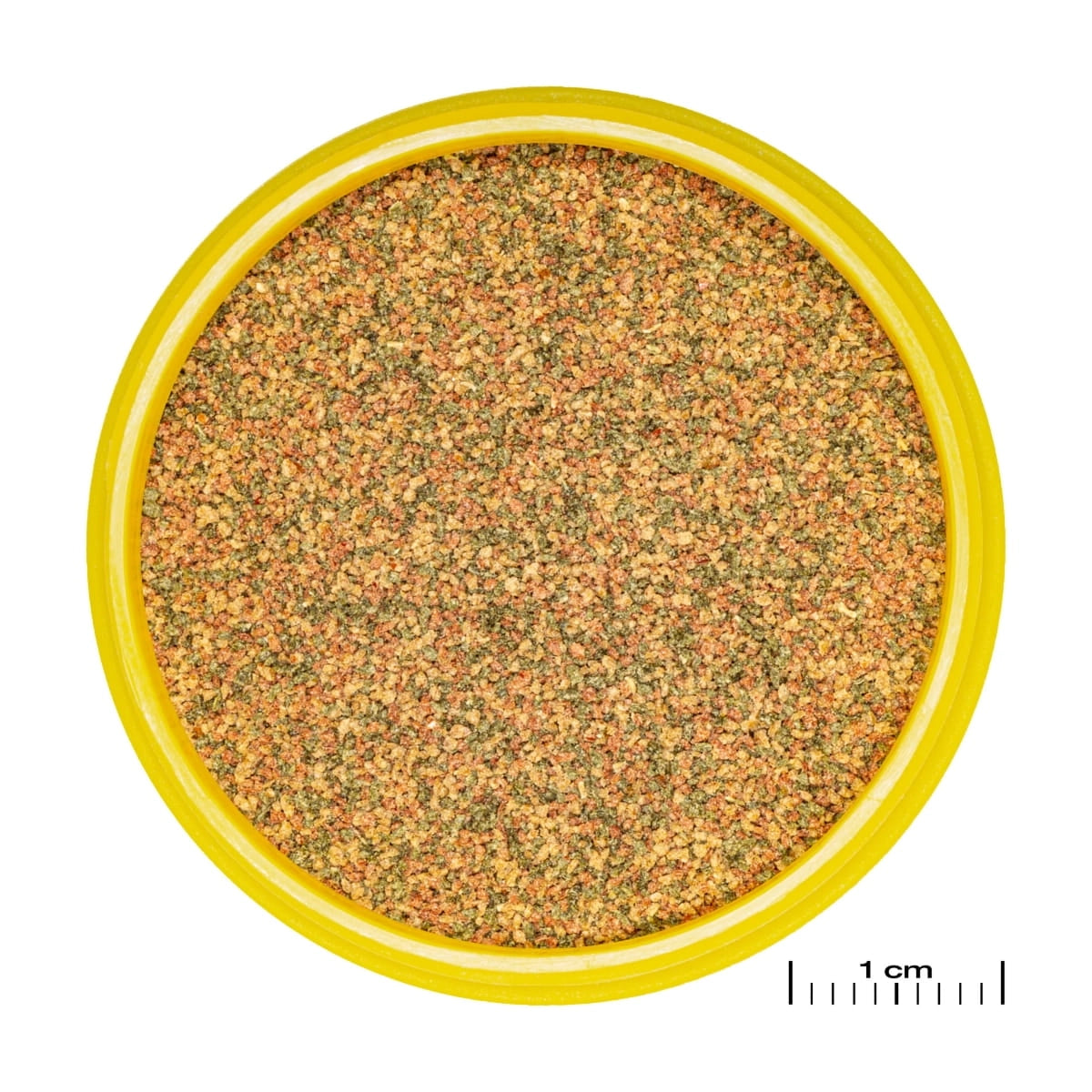 JBL ProNovo Bel Grano XS Aquariumvoer 100ml (3-5 cm) - korreldetail