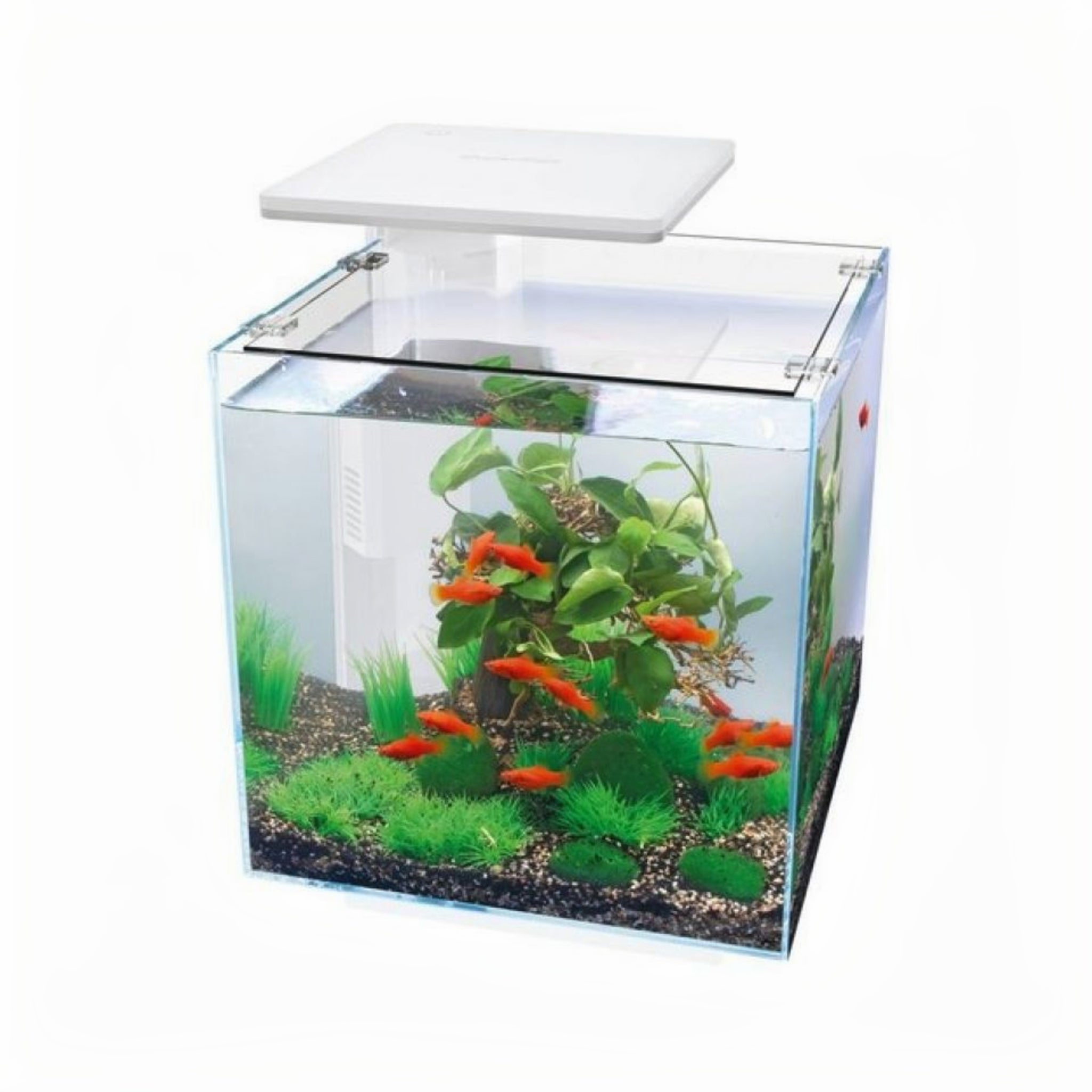 SuperFish QubiQ 60 Pro wit 60 liter aquariumset