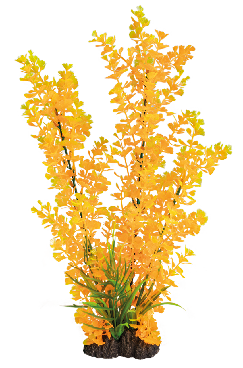 Superfish Art Plant 40cm Ludwigia Orange - productfoto