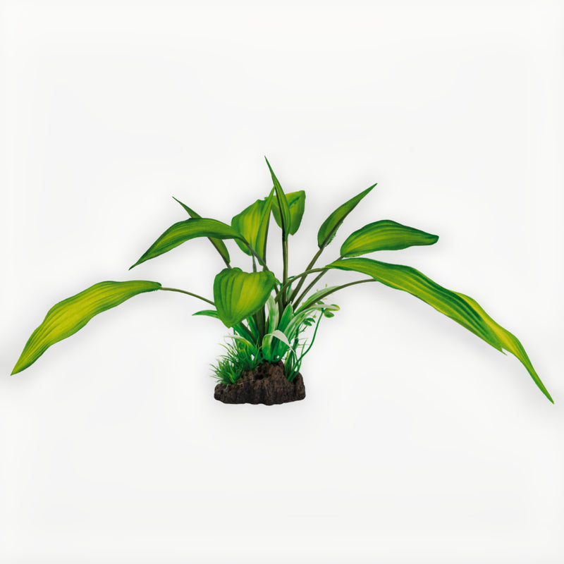Superfish Art Plant 25cm Cryptocoryne - productfoto, Aquarium Decoratie bij Vijvercentrum