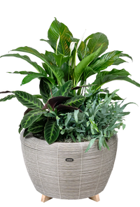 Velda Velda Orbis Planter Taupe - Wicker plantenbak 70 liter voor binnen en buiten, miniatuur 4