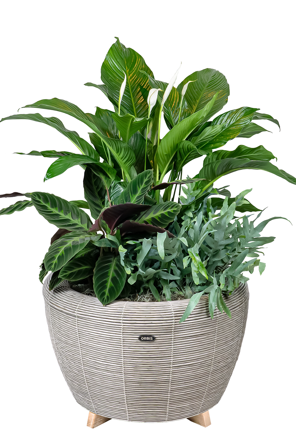 Velda Velda Orbis Planter Taupe - Wicker plantenbak 70 liter voor binnen en buiten