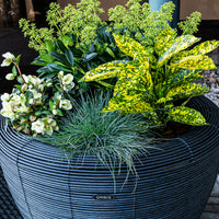 Velda Velda Orbis Planter Antraciet - Wicker plantenbak 70 liter voor binnen en buiten, miniatuur 3