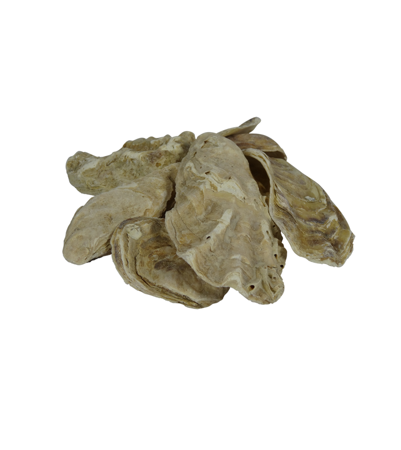 Oesterschelpen in zak 5kg, afbeelding 2 Filtermedium