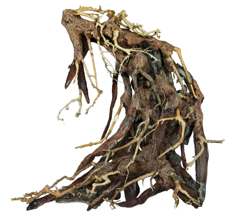 Superfish Bonsai Root (Maat L), afbeelding 2 Aquarium