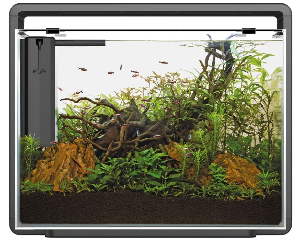 Superfish Home 85 Aquarium Zwart - Compleet Starterset