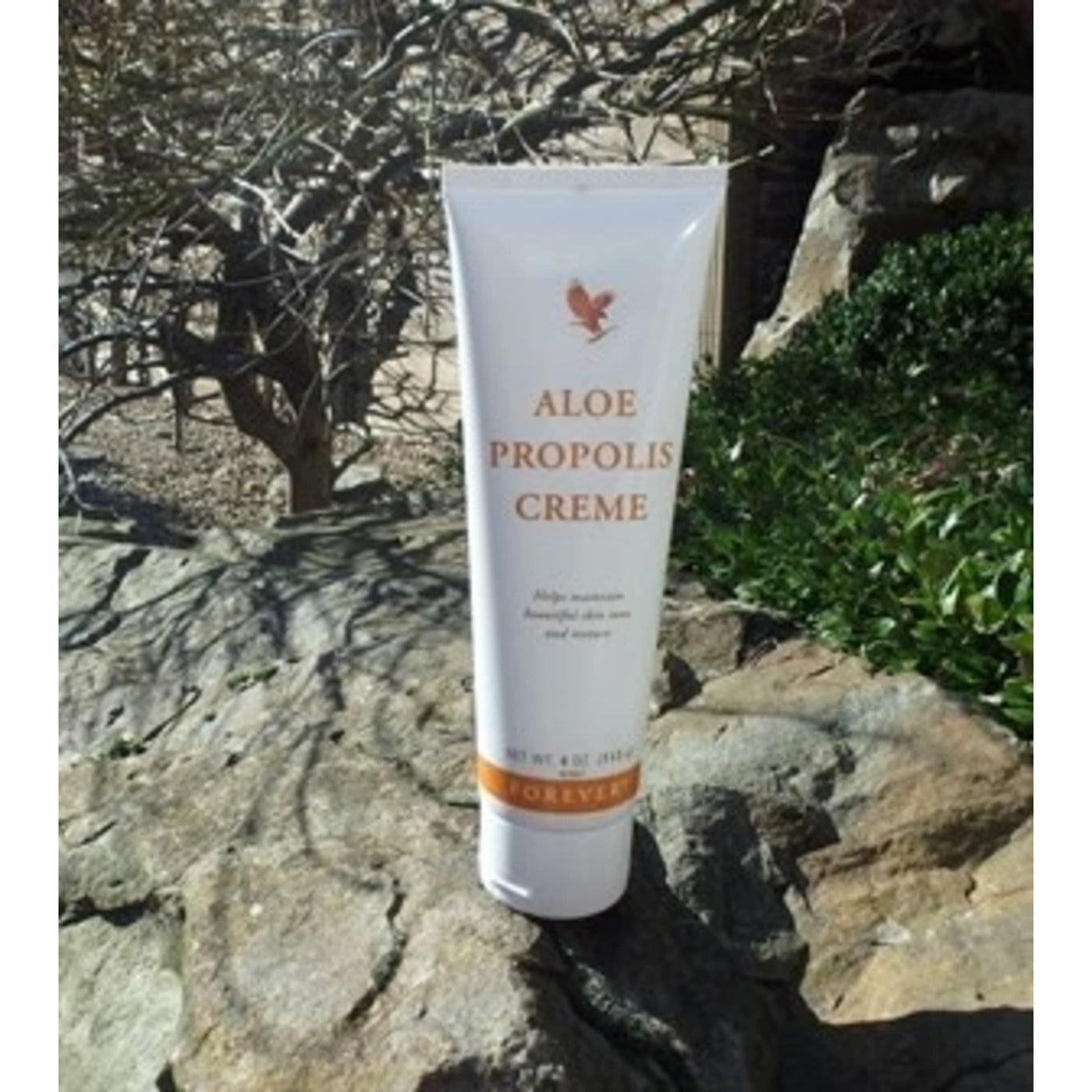 De Koidokter Propolis Crème - productfoto