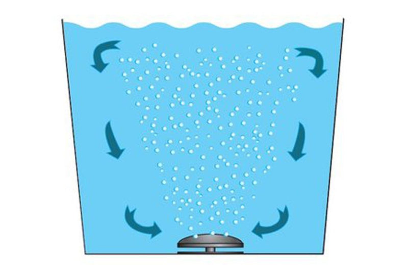 Europond Beluchte Bodemdrain Dome (Voor 110mm / 48,2mm (1,5 inch) Lucht), afbeelding 3 Onderdelen