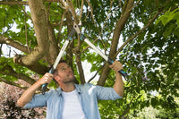 Gardena EnergyCut 750 A takkenschaar aambeeld, miniatuur 5