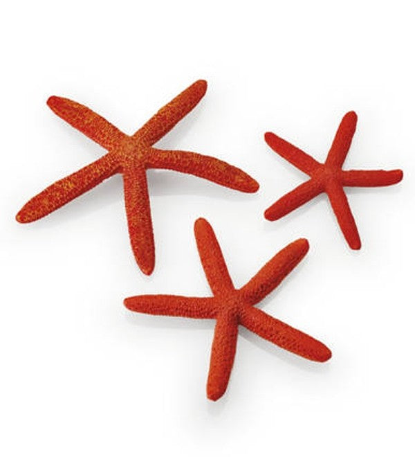 biOrb set zeesterren rood - 3 decoratieve zeesterren in verschillende maten, afbeelding 2 Aquarium Decoratie